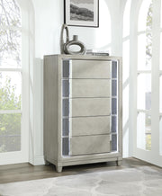 Gray Chest