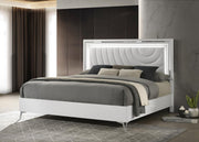 White LED Bed