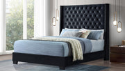 Black Velvet Bed