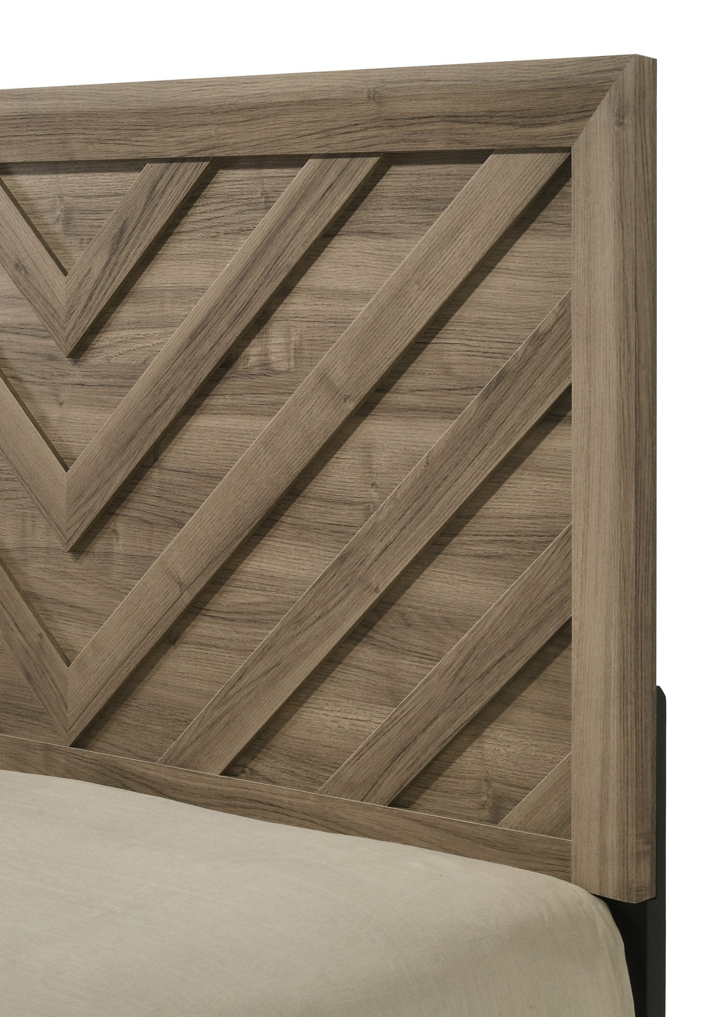 VALOR CHEST-LIGHT BROWN